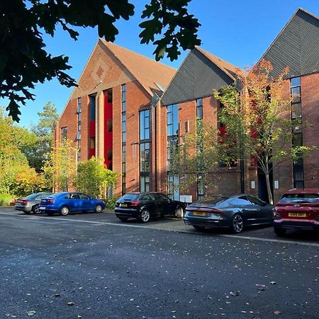 Modern Luxurious Apartment W/ Patio Balcony & View Jordanstown Eksteriør billede