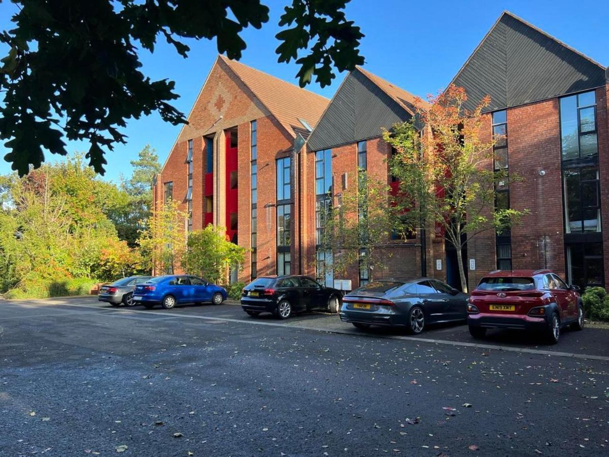 Modern Luxurious Apartment W/ Patio Balcony & View Jordanstown Eksteriør billede